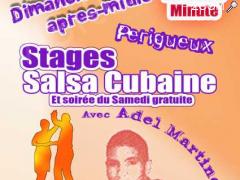 picture of Stages de Salsa Cubaine